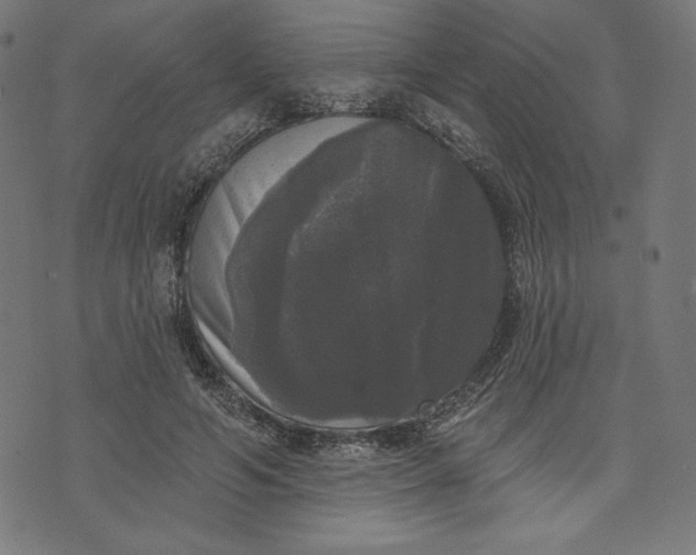 X0000070340594200606231534