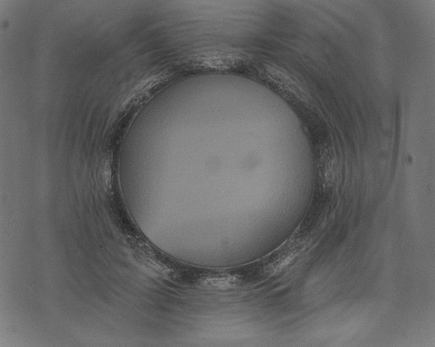 X0000070340595200606231534