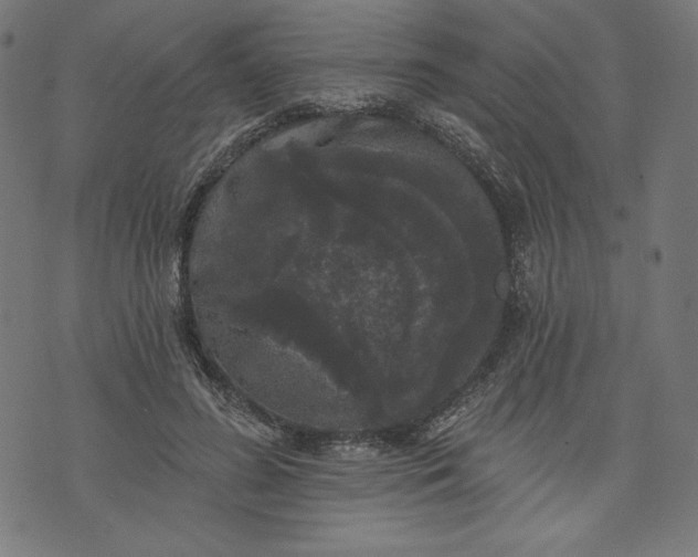 X0000070340596200606231534