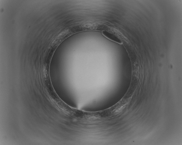 X0000070340597200606231534