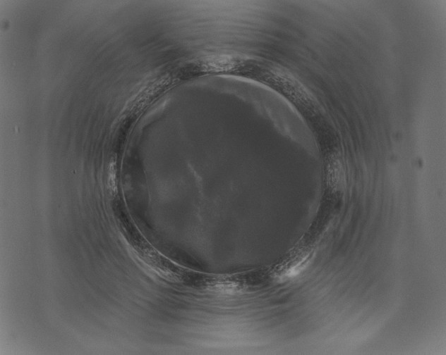 X0000070340598200606231534