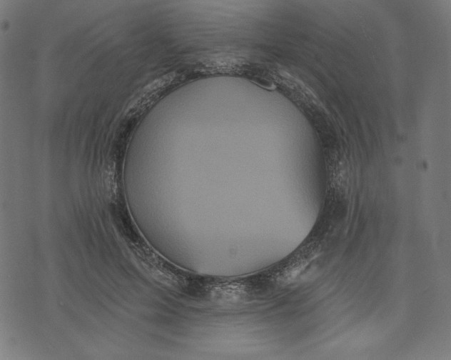 X0000070340599200606231534