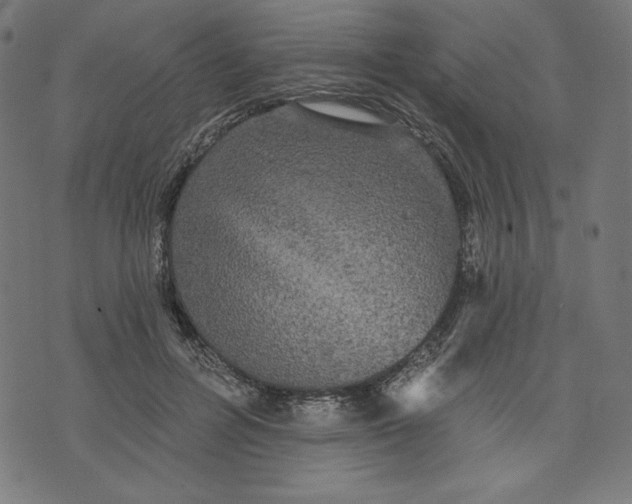 X0000070340600200606231534