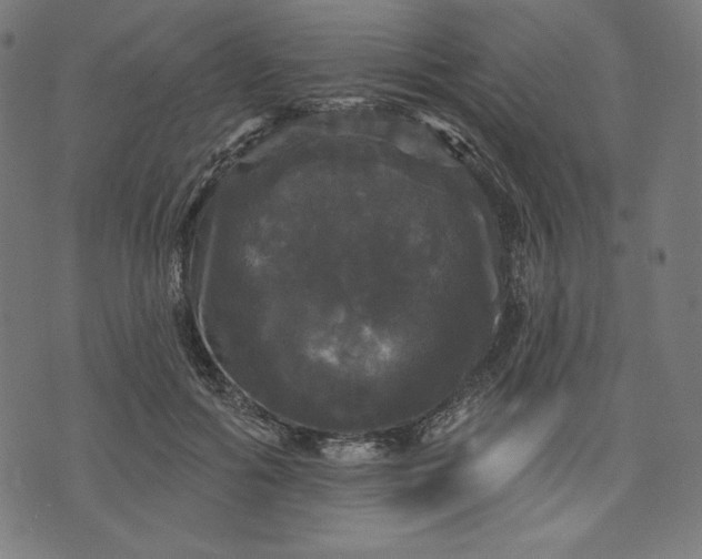 X0000070340602200606231534