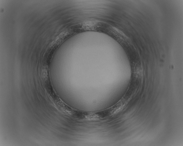 X0000070340603200606231534