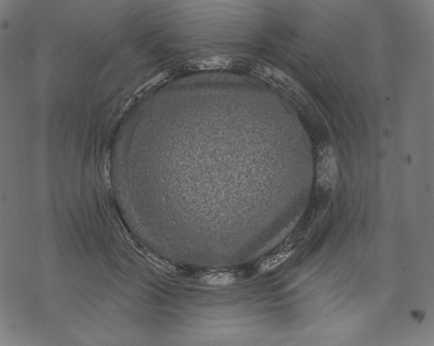 X0000070340604200606231534