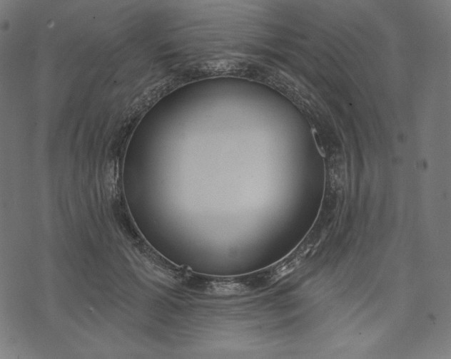 X0000070340605200606231534