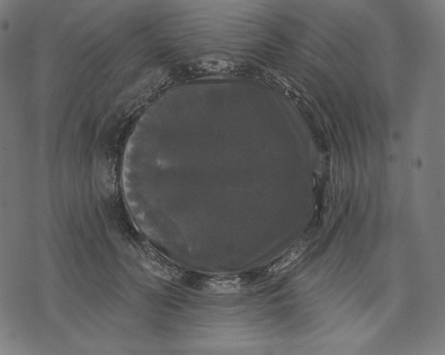 X0000070340606200606231534