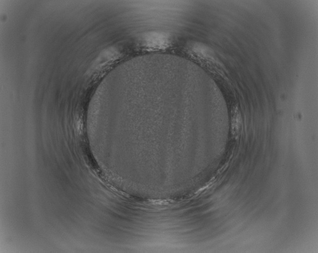 X0000070340608200606231534