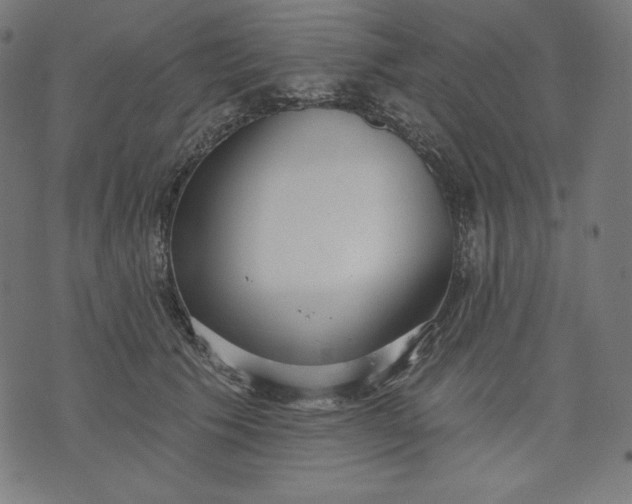 X0000070340609200606231534