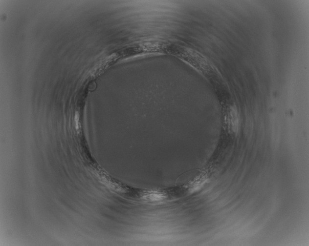 X0000070340610200606231534