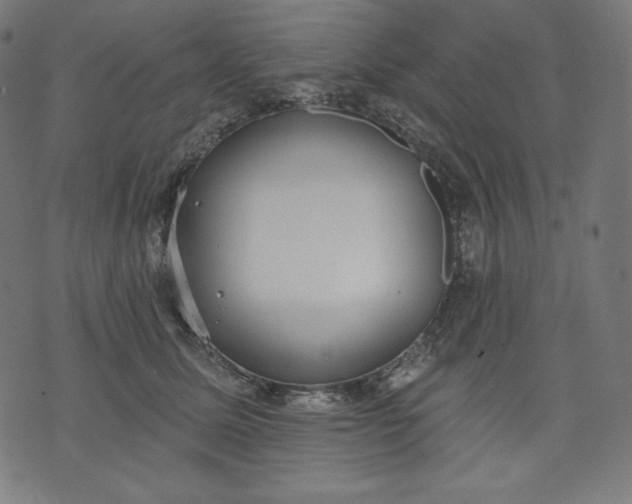 X0000070340611200606231534