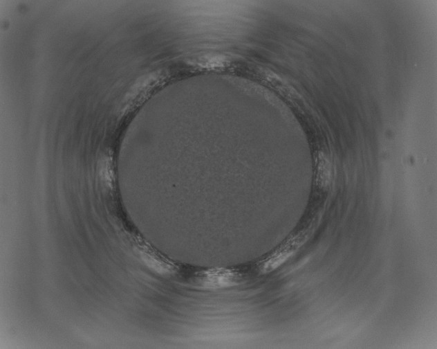 X0000070340612200606231534