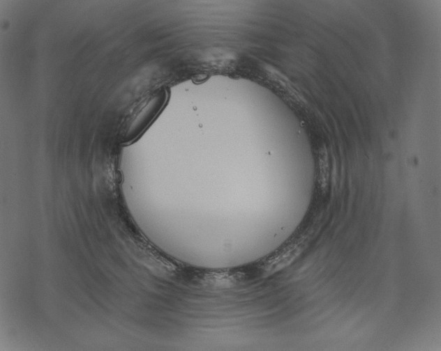 X0000070340613200606231534