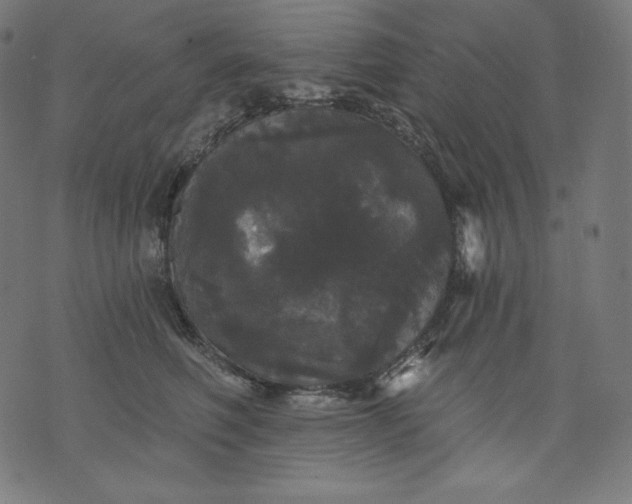 X0000070340614200606231534