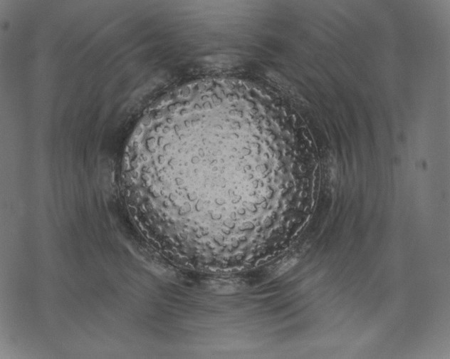 X0000070340615200606231534