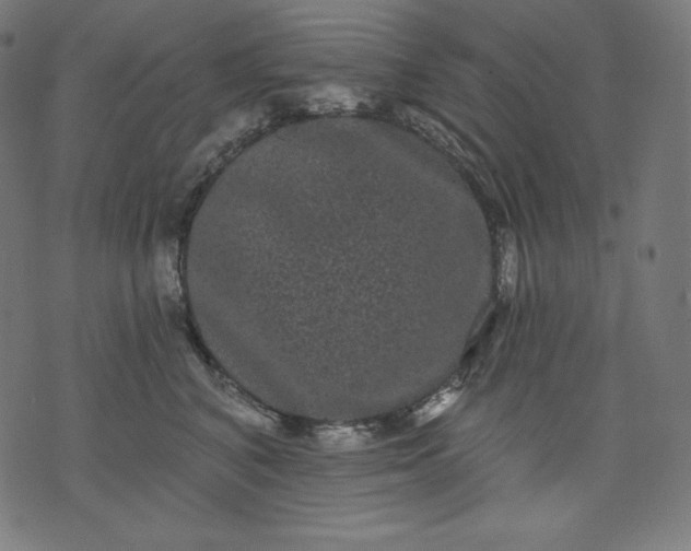 X0000070340616200606231534