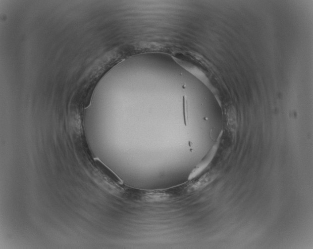 X0000070340617200606231534