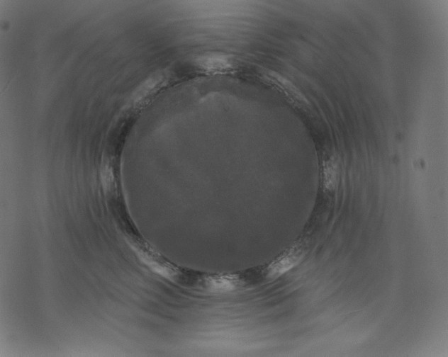 X0000070340618200606231534