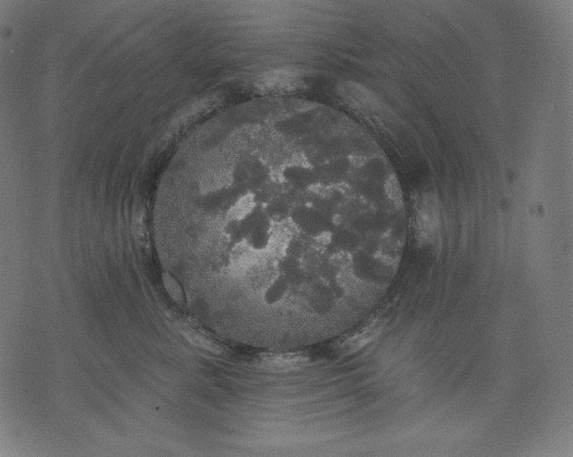 X0000070340619200606231534