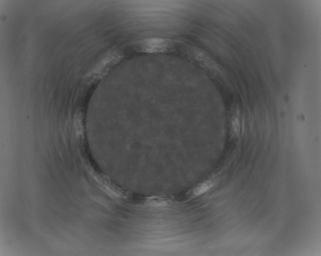 X0000070340620200606231534