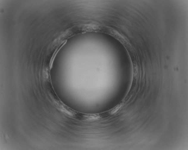 X0000070340621200606231534