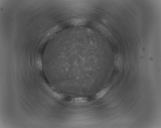 X0000070340622200606231534