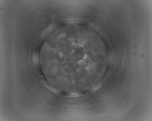 X0000070340623200606231534