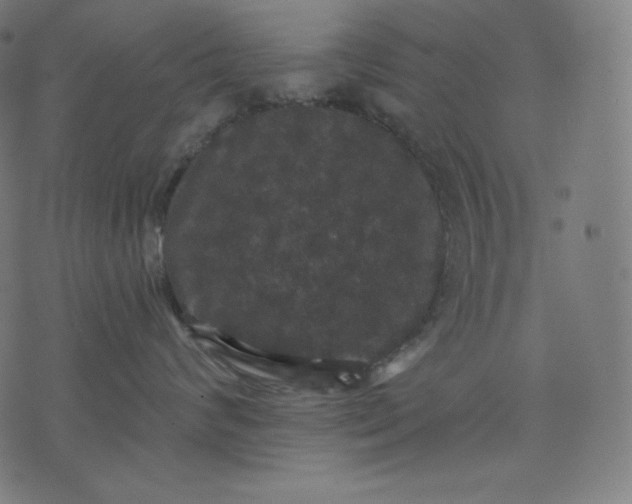 X0000070340624200606231534