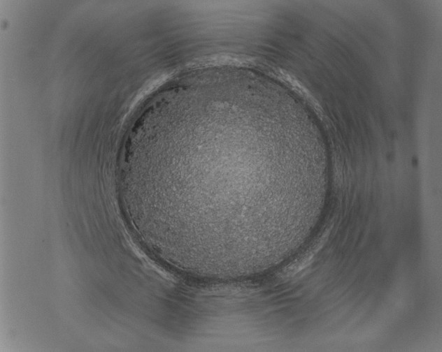 X0000070340625200606231533