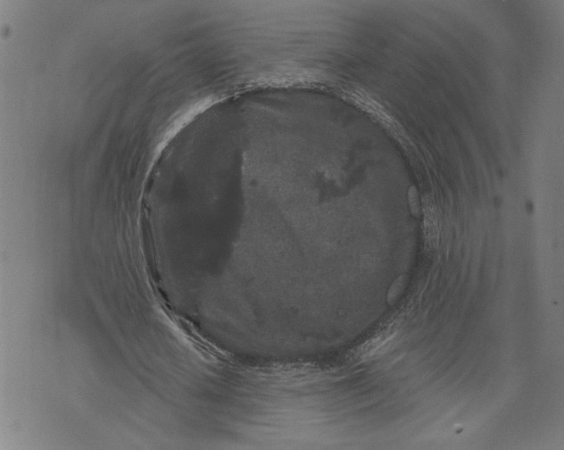 X0000070340626200606231533