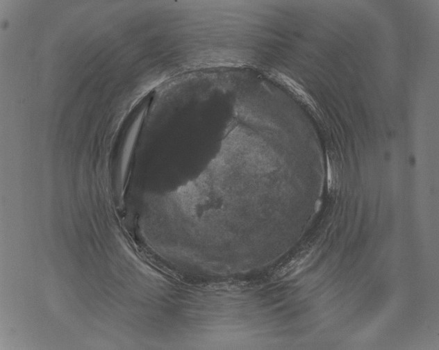 X0000070340627200606231533