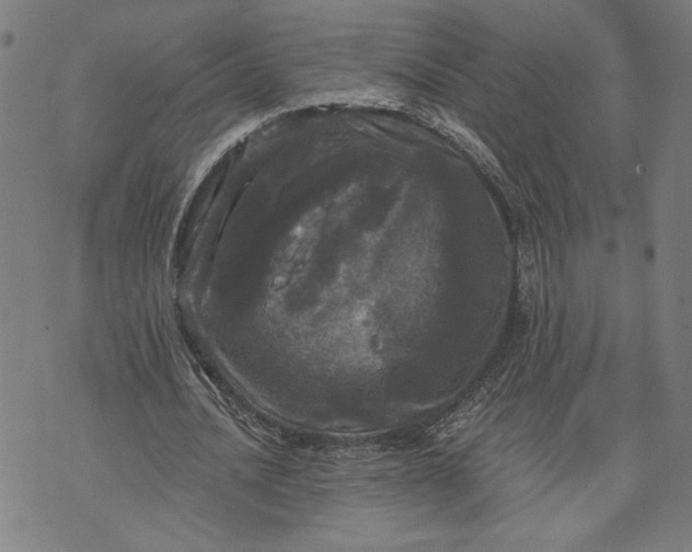 X0000070340628200606231533