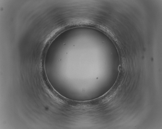 X0000070340629200606231533