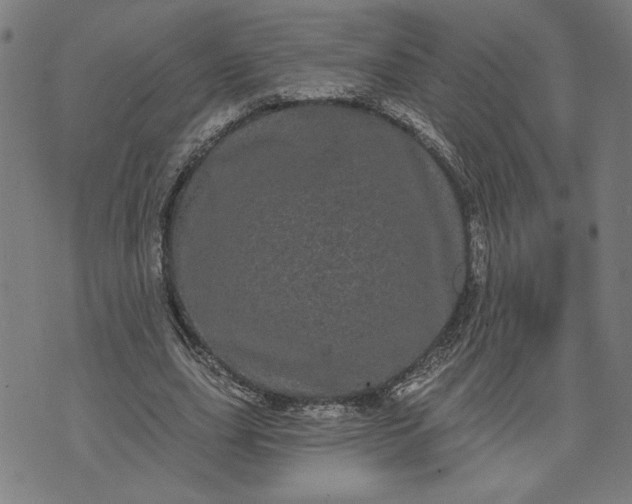 X0000070340631200606231533