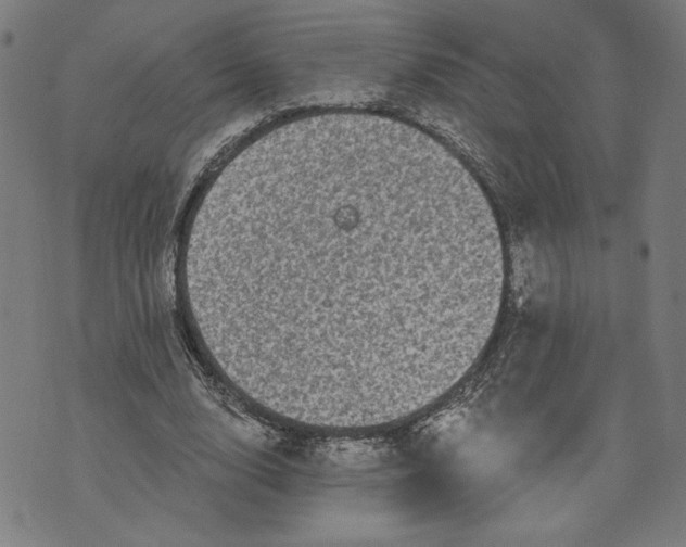 X0000070340632200606231533