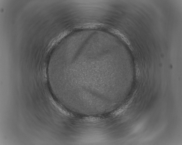 X0000070340633200606231533