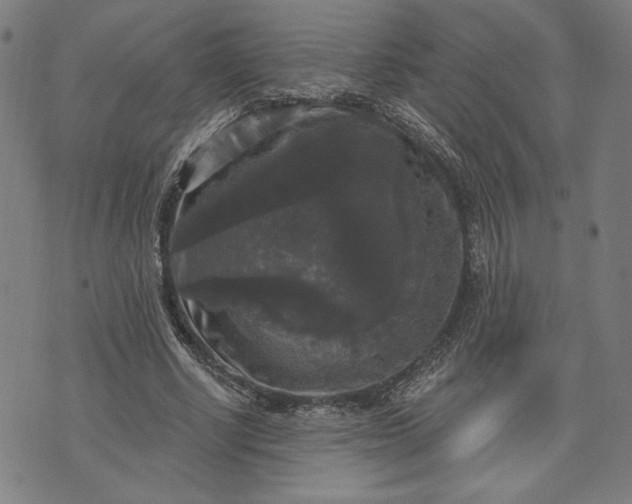 X0000070340634200606231533