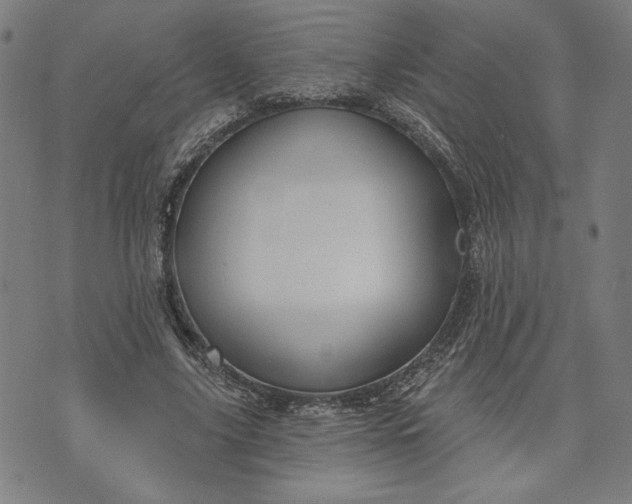 X0000070340635200606231533