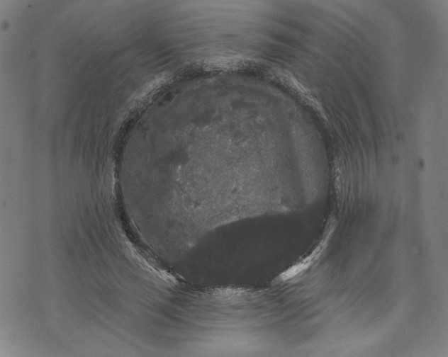 X0000070340637200606231533