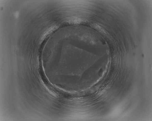 X0000070340638200606231533