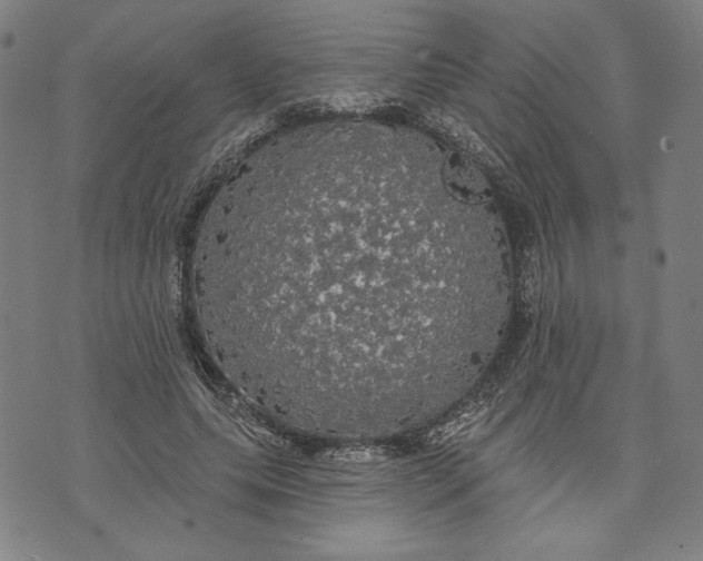 X0000070340639200606231533