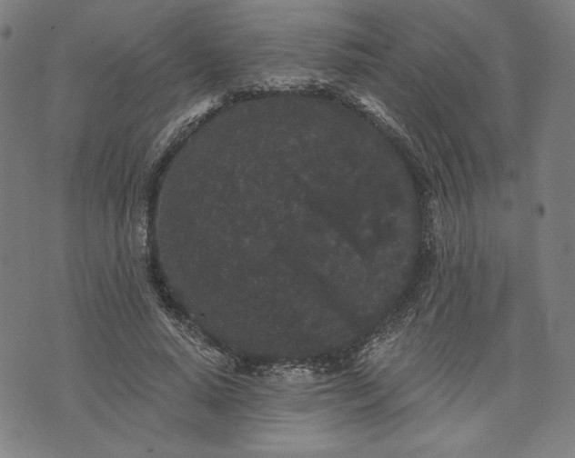 X0000070340640200606231533