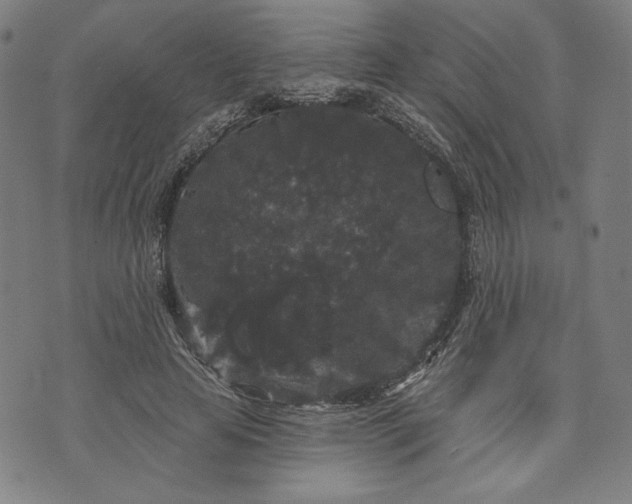 X0000070340641200606231533