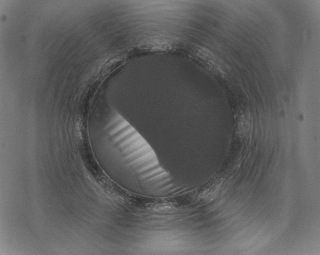 X0000070340643200606231533