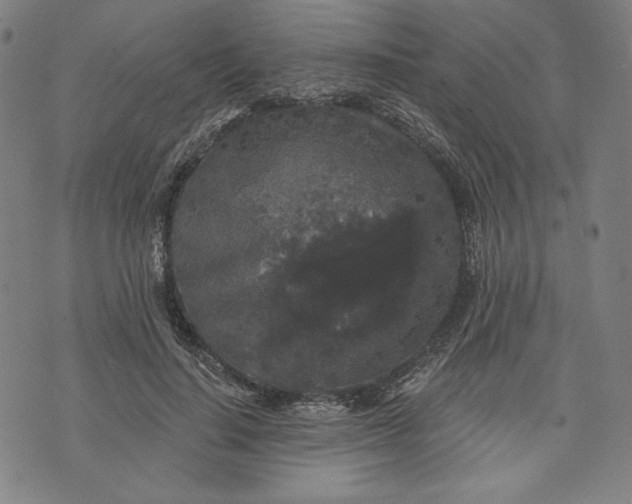 X0000070340644200606231533