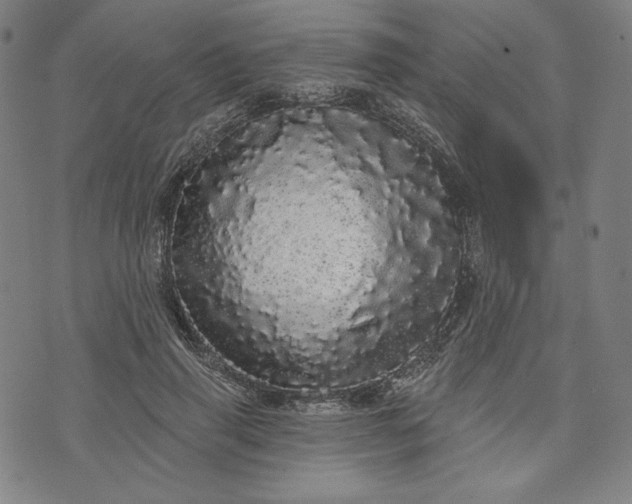 X0000070340645200606231533