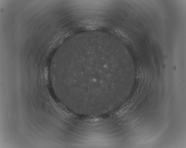 X0000070340646200606231533