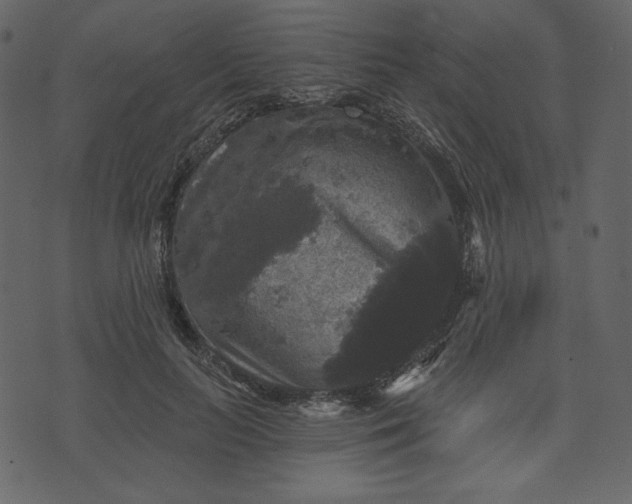 X0000070340647200606231533