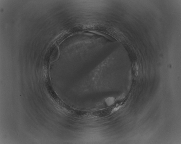 X0000070340648200606231533